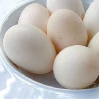 duck egg