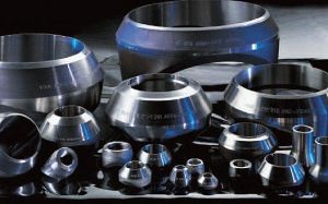 Steel Flanges