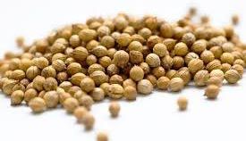 Coriander Seeds