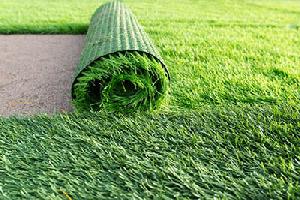 Artificial Grass