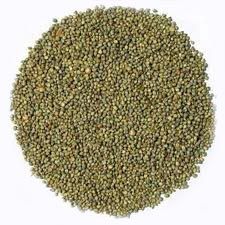 Green Millet