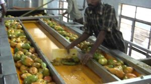 Fruits processing service