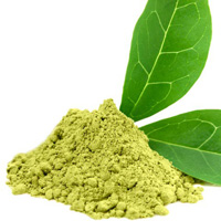 Green Tea Extract