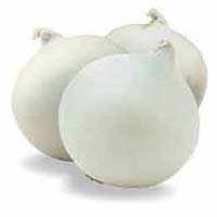 Fresh White Onion