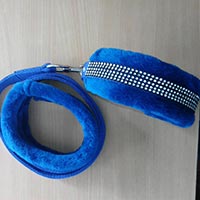 Dog Collar