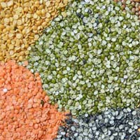 Indian Pulses