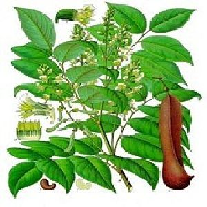 Balsam Peru