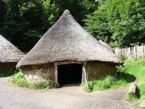 Hut Construction