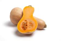 butternut squash