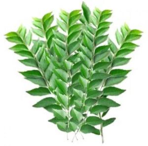 Fresh Curry Leaves