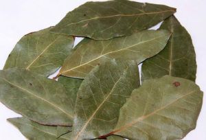 Dried Bay Leaves