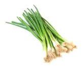 Organic Spring Onion Leaves