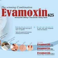 evamoxin tablets