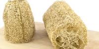 natural loofah sponge