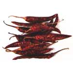 MP D9 Dried Red Chilli