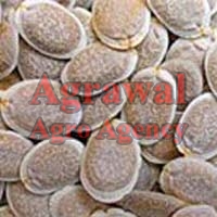 sponge gourd seeds