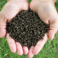 Phosphate Rich Organic Manure