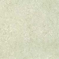 Polish Vitrified Tiles