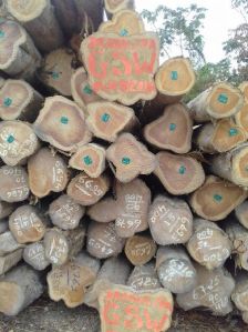 Wood Logs