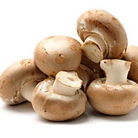 Fresh Button Mushroom