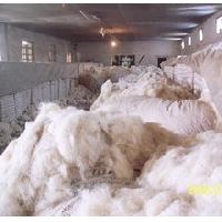 Woolen Waste