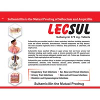 Lecsul Tablets