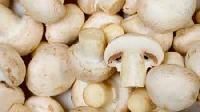 White Mushroom