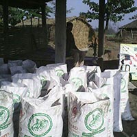 Vermicompost Organic Fertilizer