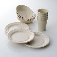 paper disposable cups and plate