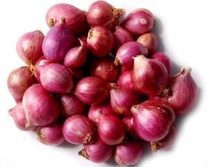 Fresh Madras Onion