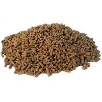 buffalo cattle feed