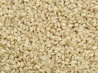 Short Grain Rice