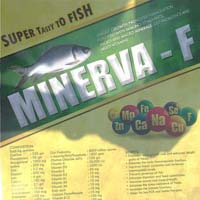 Minerva-f