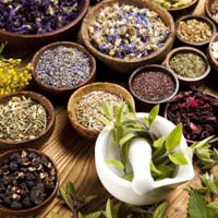 Medicinal herbs