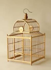 birds cage