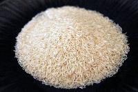 rice grains