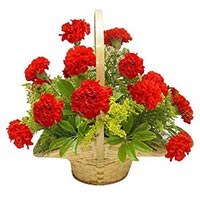 Carnations Basket