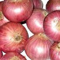 Fresh Red Onion