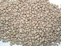 Granular Fertilizer