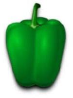 Green Pepper