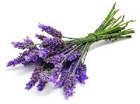 Dehydrated Lavender Flowers
