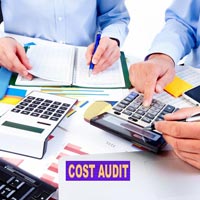 Cost Auditing Services