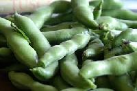 Broad Beans