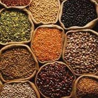 Indian Pulses