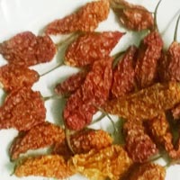 BHUT JOLOKIA PEEPER DRIED POD /GHOST CHILLI PEPPER POD -Spices