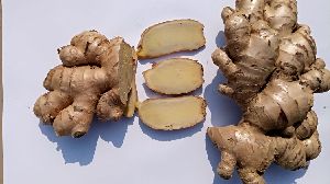 Organic Ginger