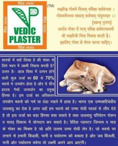 VEDIC PLASTER