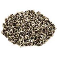 Moringa Seeds