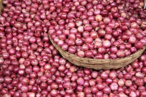 Fresh Red Onion