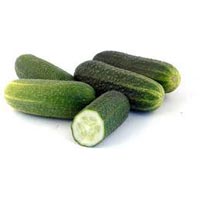 Fresh Cucumber